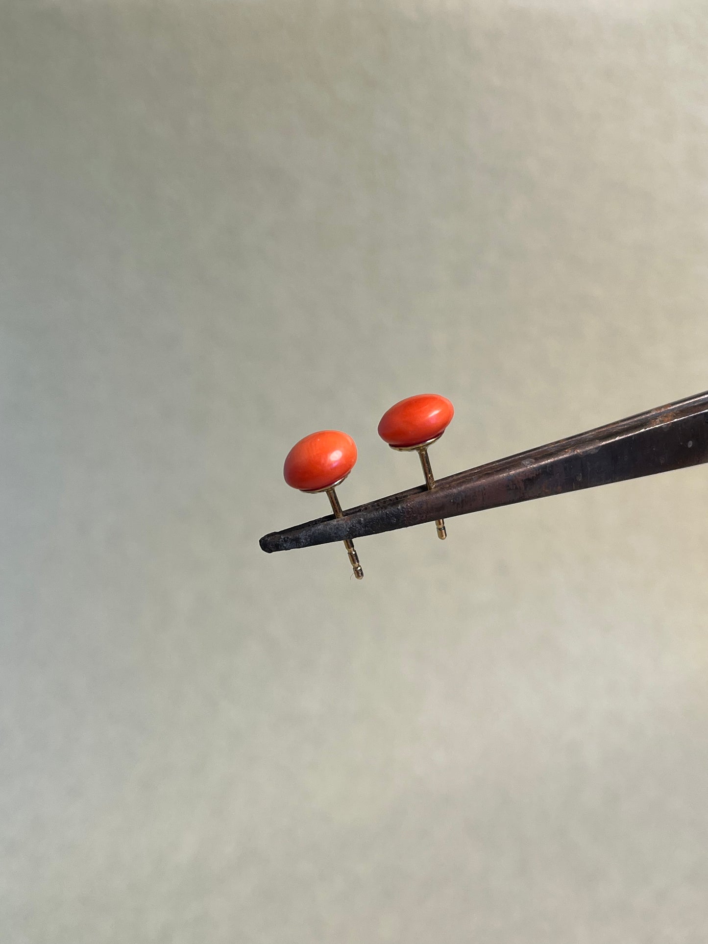 Antique Italian Coral Button Studs in 14K