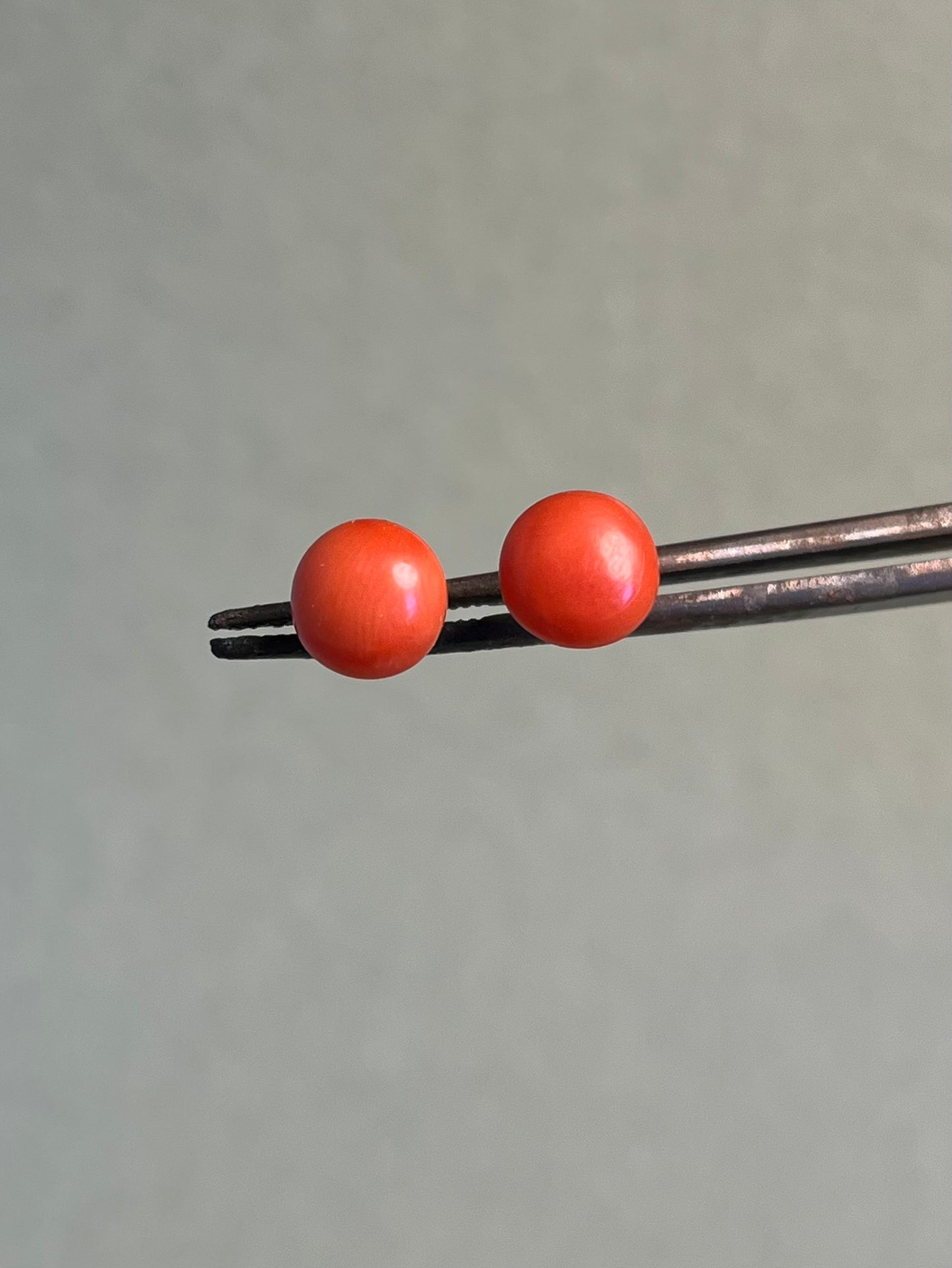 Antique Italian Coral Button Studs in 14K