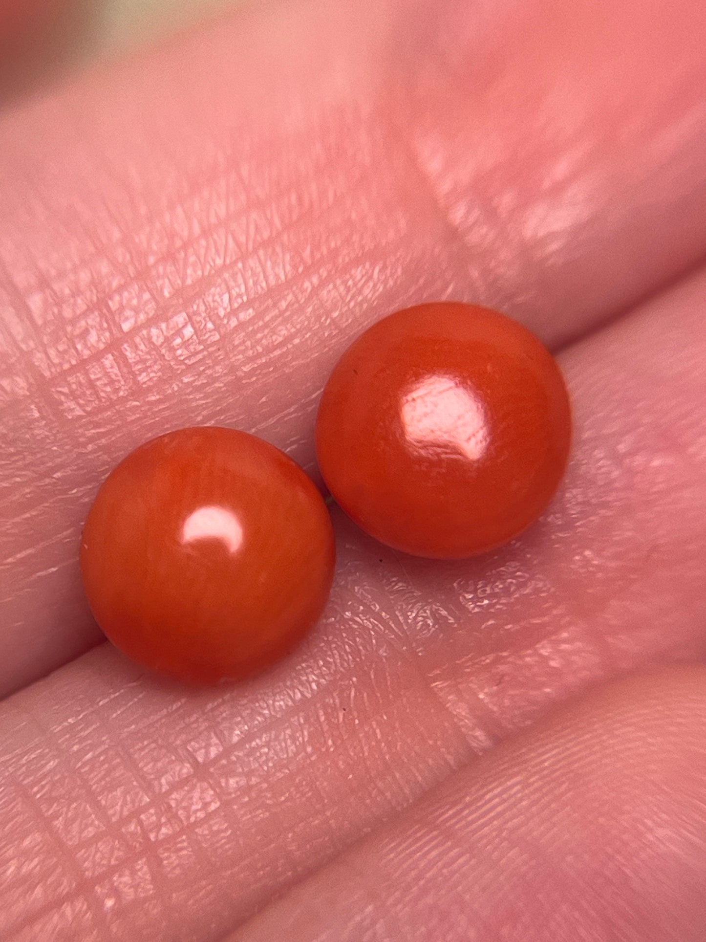 Antique Italian Coral Button Studs in 14K