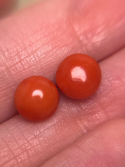 Antique Italian Coral Button Studs in 14K