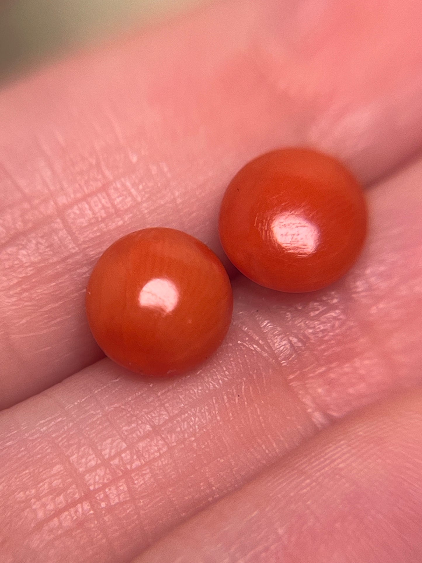 Antique Italian Coral Button Studs in 14K
