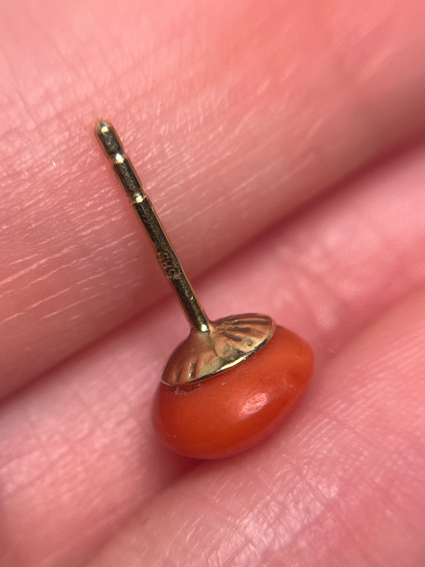 Antique Italian Coral Button Studs in 14K
