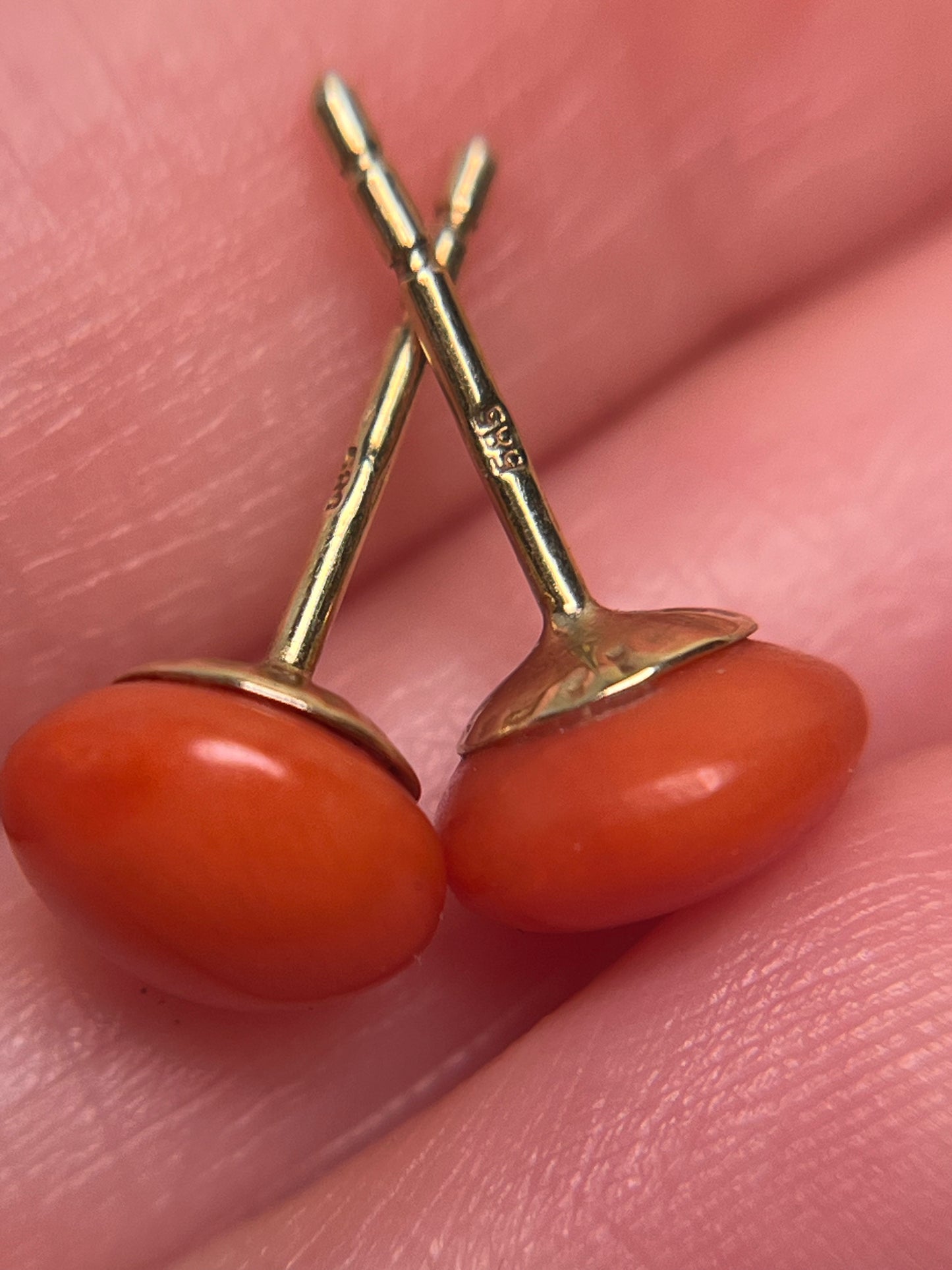 Antique Italian Coral Button Studs in 14K