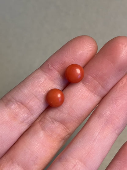 Antique Italian Coral Button Studs in 14K